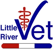 LRVS logo